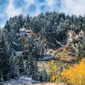 Meet your Posher, Olga